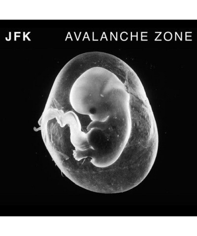 JFK AVALANCHE ZONE CD $7.48 CD