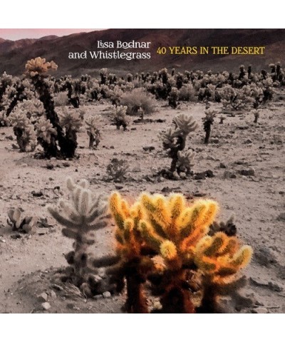 Lisa Bodnar and Whistlegrass 40 YEARS IN THE DESERT CD $7.68 CD