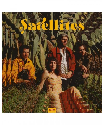Satellites vinyl record $11.60 Vinyl