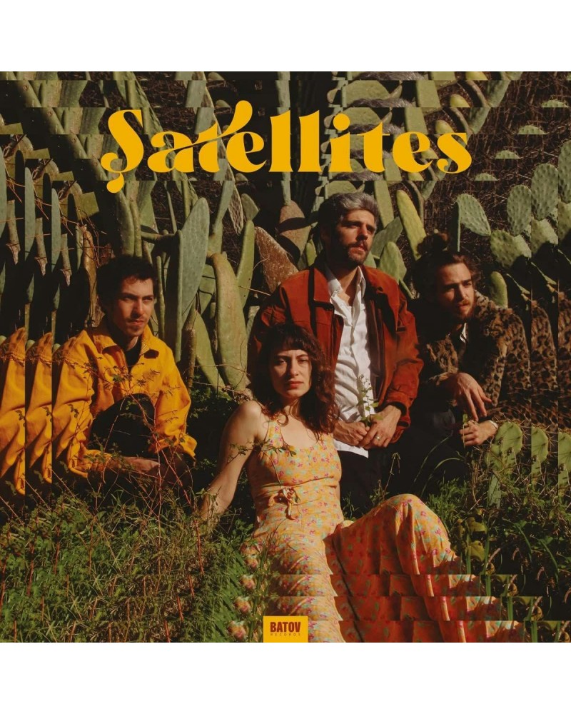 Satellites vinyl record $11.60 Vinyl