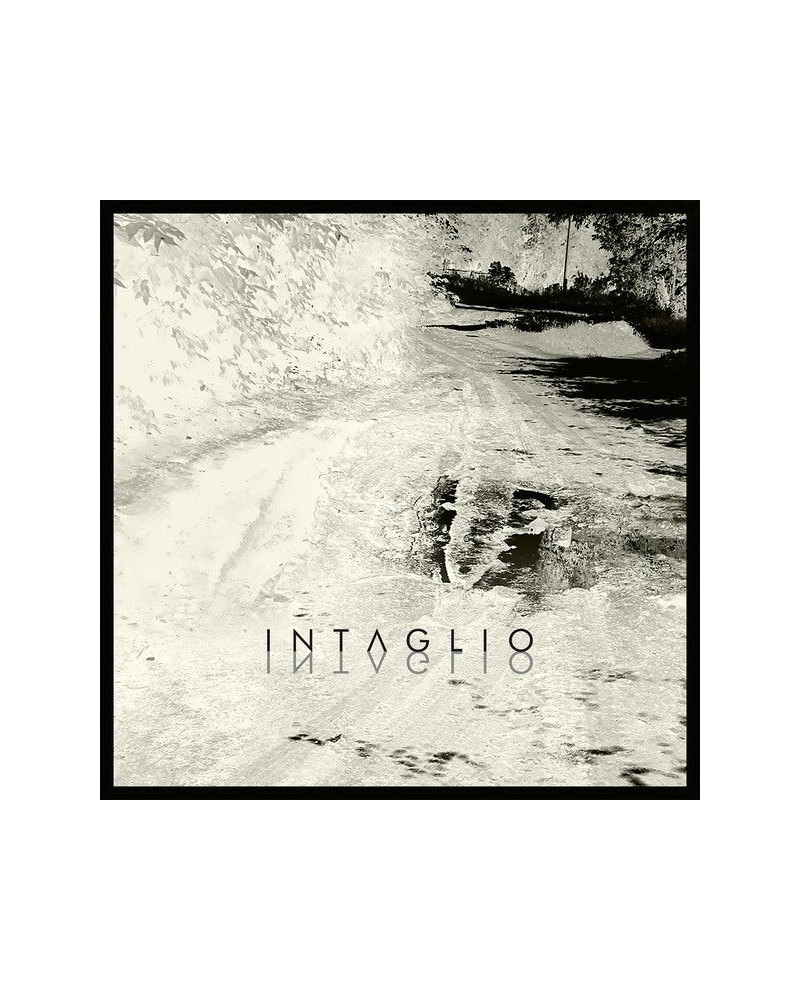 Intaglio Vinyl Record $14.22 Vinyl